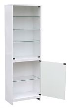 Лабораторный шкаф ШСС-1